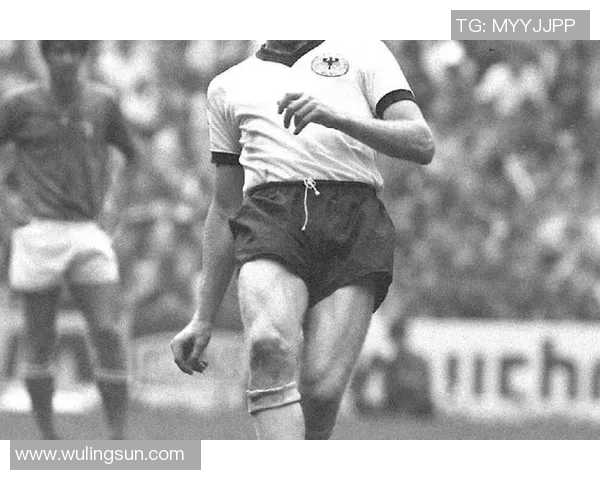 足球巨星与乡村女孩的浪漫爱情故事在绿茵场外绽放的温暖与感动