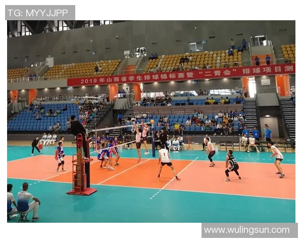 上海排球队的团队协作精神与战术配合探讨