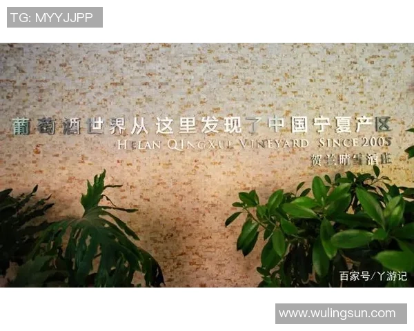 广州排球队的蜕变之路：从默默无闻到全国瞩目的冠军之路