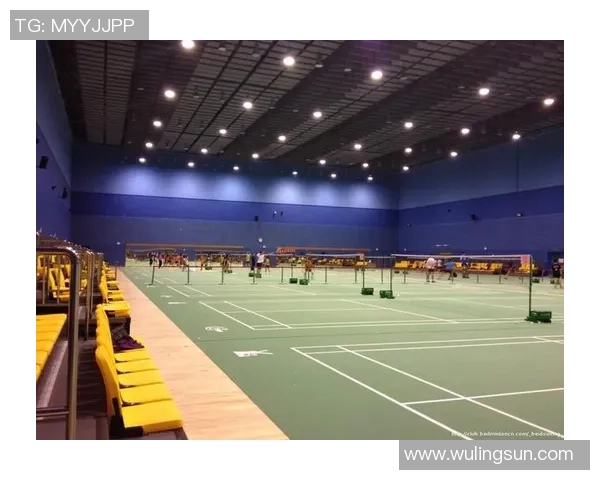 深入分析西安羽毛球队阵地战战术与技巧的专业解读