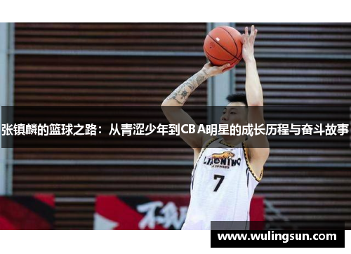 张镇麟的篮球之路：从青涩少年到CBA明星的成长历程与奋斗故事