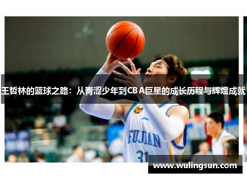 王哲林的篮球之路：从青涩少年到CBA巨星的成长历程与辉煌成就