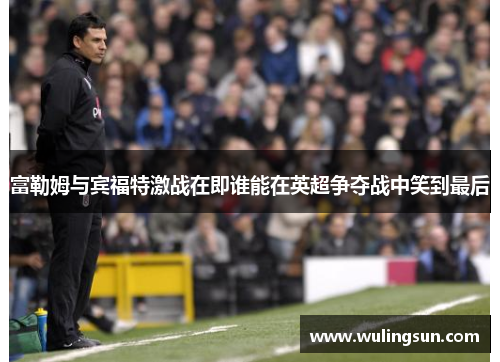 富勒姆与宾福特激战在即谁能在英超争夺战中笑到最后